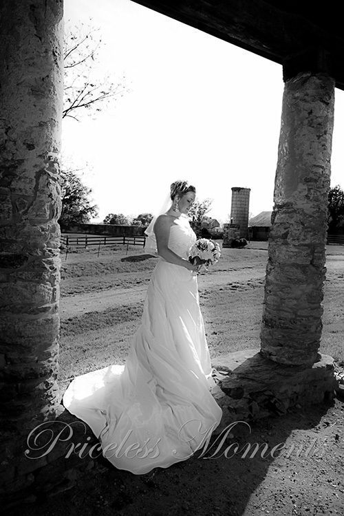 bridal portraits